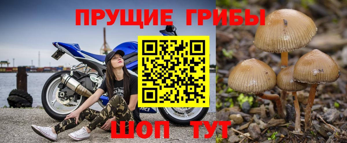 Галлюциногенные грибы GOLDEN TEACHER  Вход с VPN  Саянск 